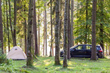 Kamp çadır ve yeşil bahar güneşli sabah w ormanda bir araba