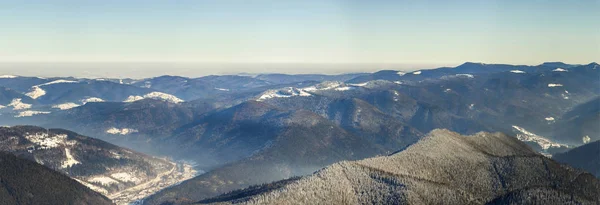 Vackra vinter panorama med nysnö. Landskap med Gran — Stockfoto