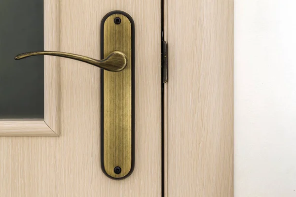 Modern, contemporary satin wooden door metal handle close-up det — Stock Photo, Image