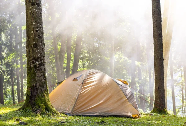 캠핑 텐트 녹색 숲에 안개와 함께 봄 화창한 아침에 하 — 스톡 사진