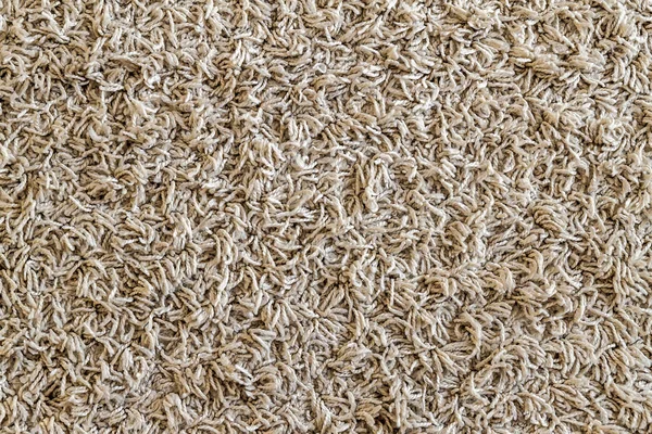 Light yellow shaggy carpet sample, a closeup shot of rug backgro