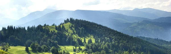 Panorama de colinas verdes frescas nas montanhas dos Cárpatos na primavera — Fotografia de Stock