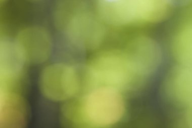 Soyut bokeh yeşil çember arkaplanı