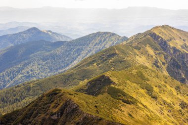 Yaz güneşli bir günde Karpat Dağları Panoraması.