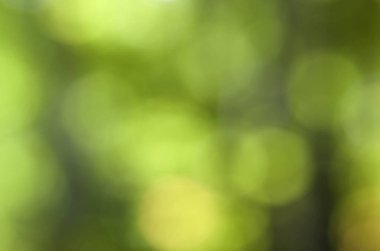 Soyut bokeh yeşil çember arkaplanı