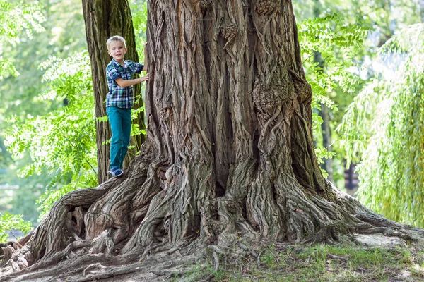 Liten pojke som står bredvid en stor stubbe av ett gammalt träd. Glad chi — Stockfoto