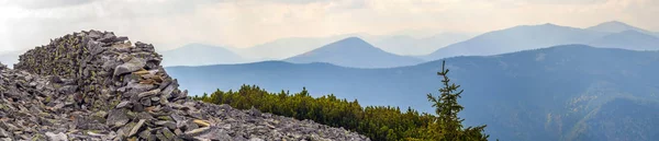Панорама блакитних гір зі стіною з каменів і соснових дерев — стокове фото