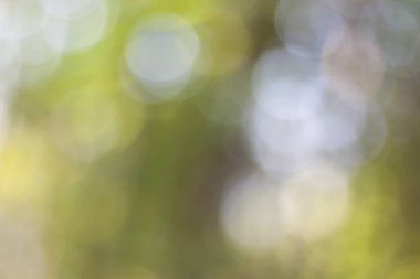 Gece Noel bokeh ışıklar arka plan.