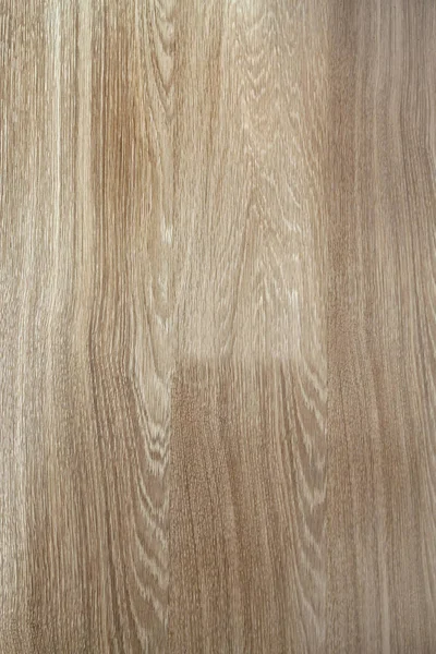 Fragmento de madeira sem costura painel de carvalho laminado parquet floor tex — Fotografia de Stock