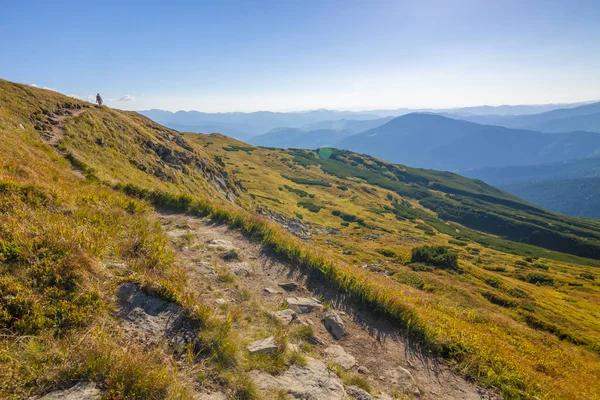 Panorama des montagnes des Carpates en été journée ensoleillée. — Photo