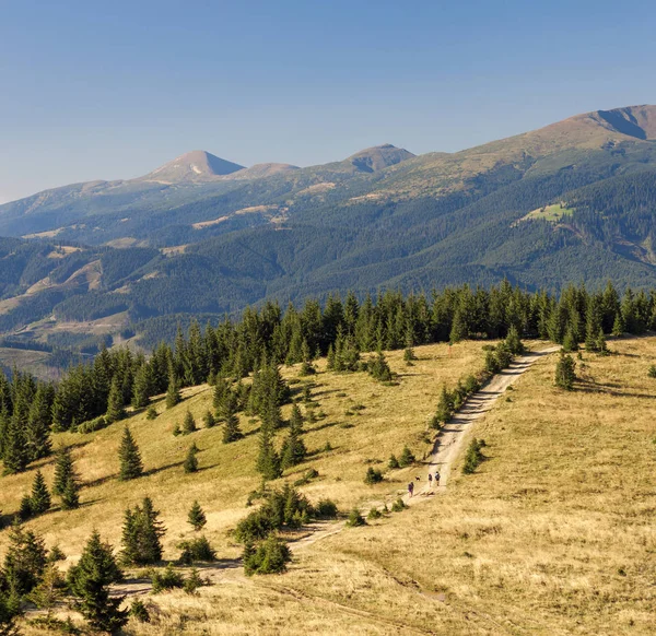 Yaz güneşli bir günde Karpat Dağları Panoraması — Stok fotoğraf