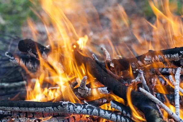 Close up of hot burning fire wood coal — Stock Photo, Image