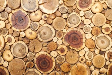 Round wooden stumps background,Trees cut section for background  clipart