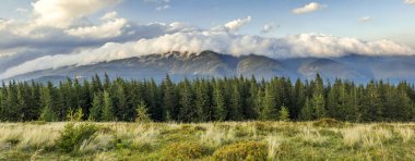Güzel dramatik beyaz bulutlar dağlar üzerinde. Forest hills 