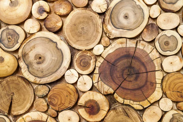 Pařezy kruhové dřevěné pozadí, stromy řez sekce pro pozadí — Stock fotografie