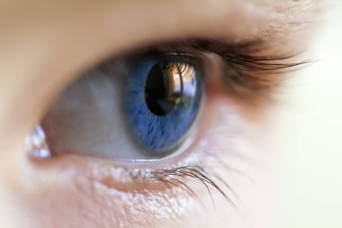 Mavi insan gözü kirpik ile yakın çekim görüntüsü