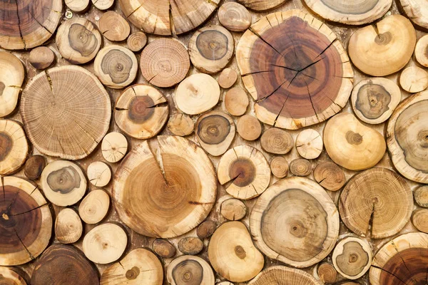 Fondo redondo de troncos de madera, sección de corte de árboles para fondo — Foto de Stock