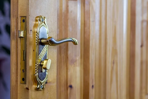 Vintage maçaneta da porta em portas de madeira close-up — Fotografia de Stock