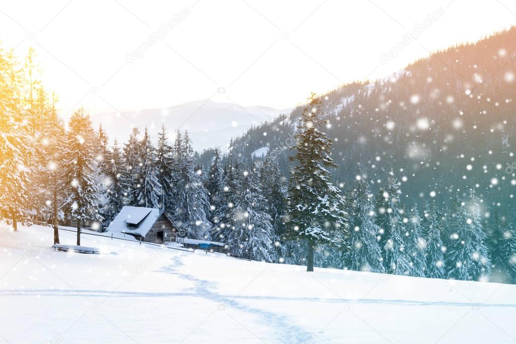 Beautiful winter landscape in the mountains with falling snow an