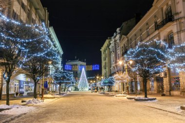 Ivano-Frankivsk, Ukrayna-1 Ocak 2017: yılbaşı çam ağacı d