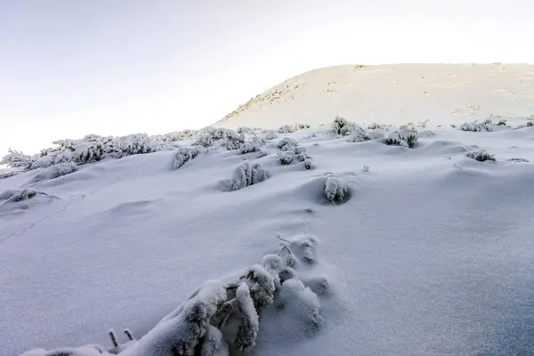 Colinas cobertas de neve nas montanhas — Fotografia de Stock