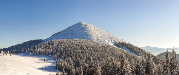 Schönes Winterpanorama mit Neuschnee. Landschaft mit Fichten — Stockfoto