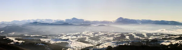 Mooie winter panorama met verse sneeuw. Landschap met spar — Stockfoto