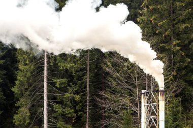 Kalın beyaz duman çam ormanı ile boru