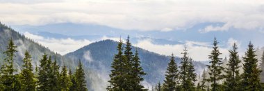 Alçak bulutlar ile sisli Karpat Dağları'nın panoramik görünüm