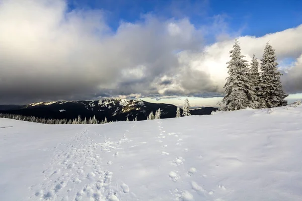 Paisagem de montanha de inverno com pinheiros cobertos de neve e baixa — Fotografia de Stock