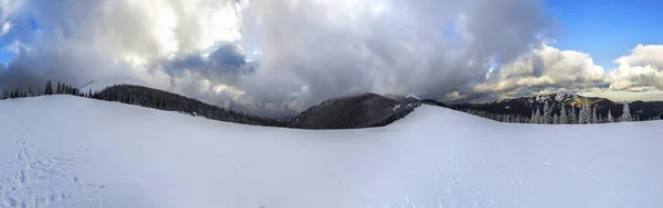 Paesaggio montano invernale con pini innevati e bassa c — Foto Stock