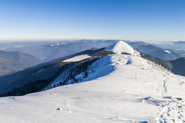 Kar kış dağlar kaplı. Kutup manzara. Renkli sıklıkta — Stok fotoğraf