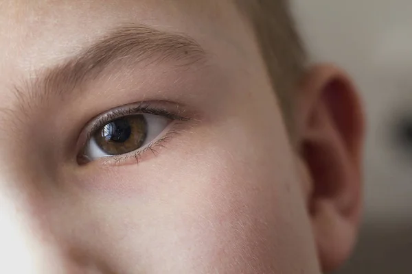 Εσωτερικη μακροεντολή παιδί αγόρι μάτι — Φωτογραφία Αρχείου