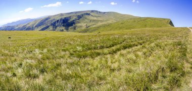 Yeşil Karpat dağ tepeleri ve tepeler yaz güneşli gün