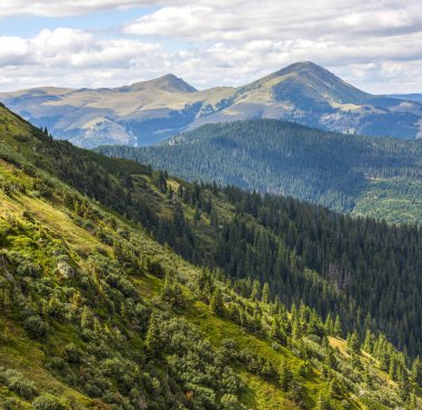 Yeşil Karpat dağ tepeleri ve tepeler yaz güneşli gün