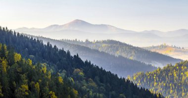 İnanılmaz yumuşak gündoğumu panorama dağlarda. Cerpathian dağ zirveleri ve çam ağaçları üst kısımları üzerinde sonbahar tepelerde