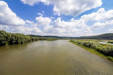 Geniş nehir kenarında bulunan yeşil ağaçlar ile yaz aylarında su