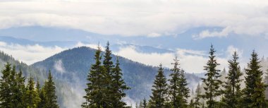 Alçak bulutlar ile sisli Karpat Dağları'nın panoramik görünüm