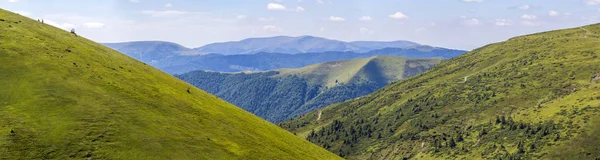 Panorama Grüner Hügel Sommerlichen Bergen — Stockfoto