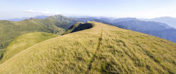 Large Panorama Collines Verdoyantes Montagnes Des Carpates Été — Photo