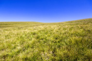 Boş yaz dağ manzarası ile yeşil çim ve mavi gökyüzü.