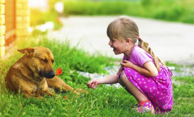 Mavi gökyüzü ve bulutlar ile ağaç ve yeşil alan