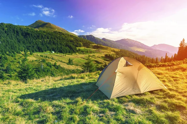 Touristenzelt in den Bergen an einem sonnigen Sommertag — Stockfoto