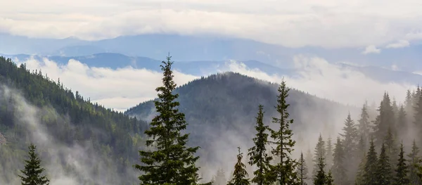 Panoramic view of foggy Carpathian mountains with low clouds — Stock Photo, Image