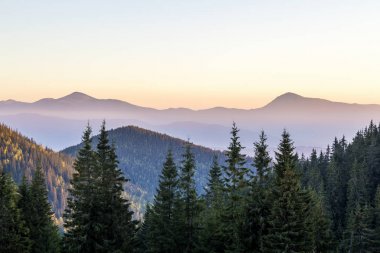 Dağlarda inanılmaz yumuşak günbatımı. Cerpathian dağ zirveleri ve 