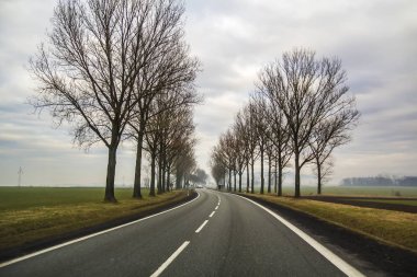 Eğri iki şeritli bir ülke ağaçların arasından virajlı yol.