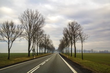 Eğri iki şeritli bir ülke ağaçların arasından virajlı yol.