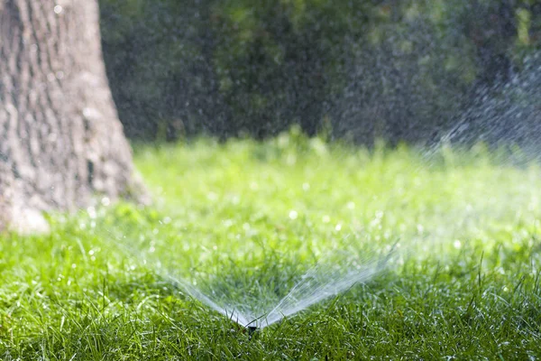 Rasensprenger, der an einem heißen Sommertag Wasser über das Gras im Garten sprüht. automatische Rasenbewässerung. Garten- und Umweltkonzept. — Stockfoto