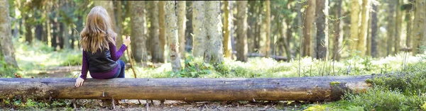 Девочка с длинными волосами сидит на дереве в осеннем лесу — стоковое фото