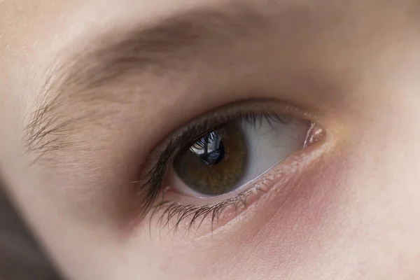 Close up macro of child boy eye — Stock Photo, Image